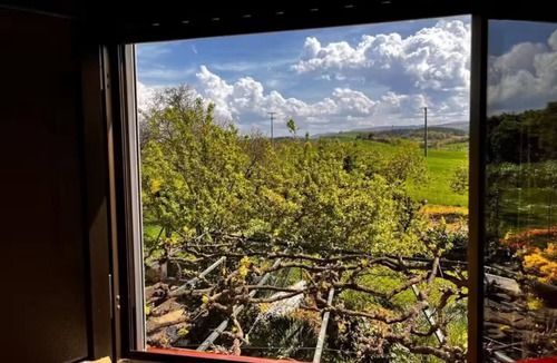 Ciruena Cottage | House in a rural environment, golf, wine, mountain and relaxation.