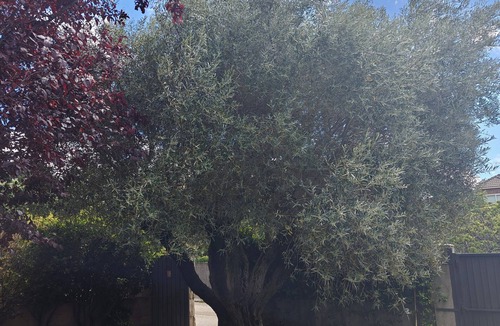 Collado Mediano House | House in Sierra de Madrid - Pool/garden - Wifi - Next to Train Station