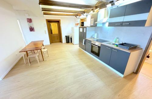 Oberteisbach Apartment | I Apartment Dingolfing Ferienwohnung Kronwieden I