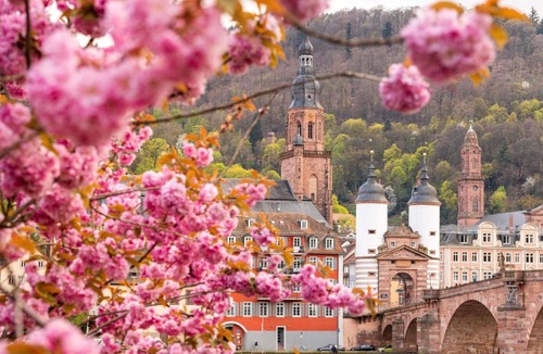 Weststadt Hotel | ibis Heidelberg Hauptbahnhof