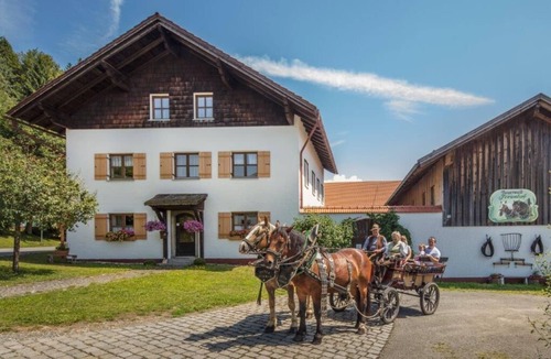 Eppenschlag Apartment | Im Bayerwald-Stil gestaltete FeWo (60 m2) mit eigener Terrasse