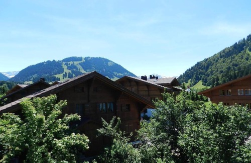 Gstaad Apartment | Im Wiesengrund Appartement/Fewo, Dusche oder Bad, WC 4-Bettwohnung by Interhome