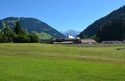 Gstaad Apartment | Jacqueline 22 Appartement/Fewo, Dusche oder Bad, WC 5-Bettwohnung by Interhome