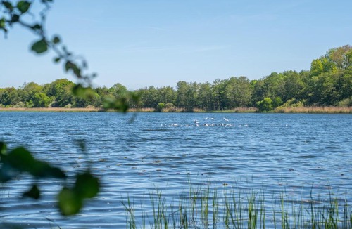Kreuzkamp Apartment | K357 - Ferienwohnung - Moin Moin - Pönitz - Scharbeutz