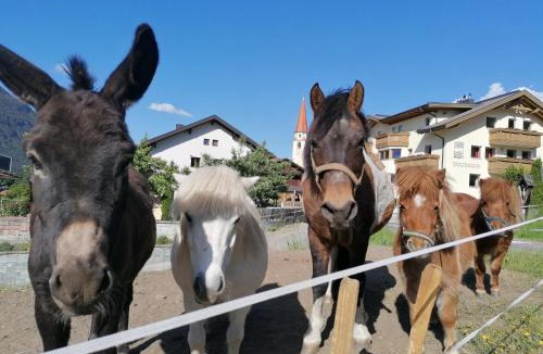 Wald House | Kinderbauernhof Ierzerhof