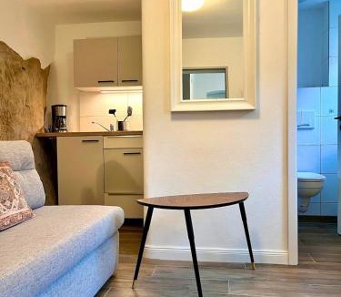 Stadt Wehlen Apartment | Kleines Natursteinapartment 4 für 1 Person