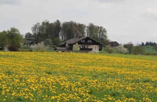 Bad Endorf House | Kurparkpension Stephan