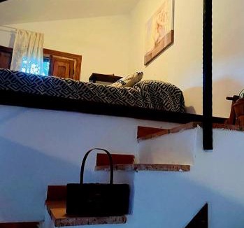 El Real de San Vicente House | La Casa de Cadia 2