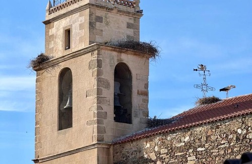 Riolobos Apartment | La terraza del Campanario