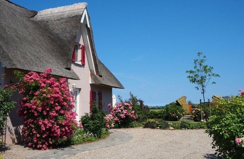 Zierow Apartment | Lady and the Tramp Comfortable Vacation Home