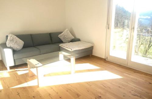 Lossburg Apartment | Landhaus Ferienwohnung - Am Leinbach - stilvoll renoviertes Apartment 85m2 - Schwarzwald
