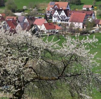 Kirchensittenbach Hotel | Landidyll Hotel Zum Alten Schloss