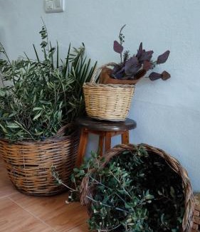Montejaque Apartment | Las Lajas, Casa Rural