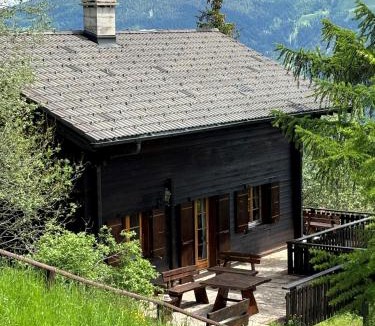 Vex Ski Chalet | Le Grand Paradis - Away from the summer heat - Les Collons