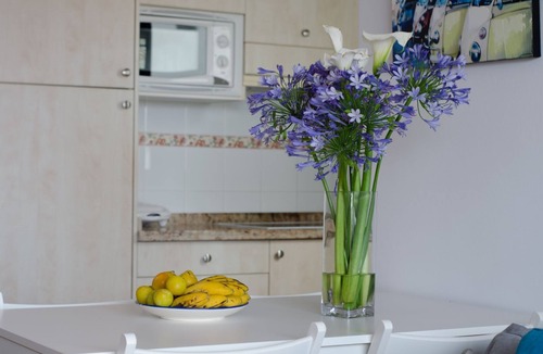 San Felipe Apartment | LivingtheOcean & Big Terrace
