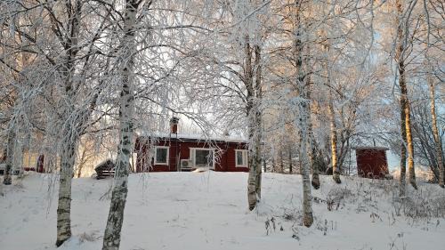 Sonka Other | Log cabin on the banks of Ounasjoki River