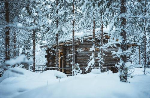 Rovaniemi House | Log Cabin with Private Sauna & Hot Tub by Invisible Forest Lodge - Adults Only