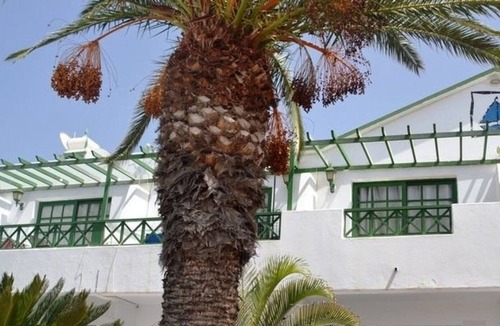 Matagorda Apartment | Lovely 1 bedroom apartment in Puerto del carmen/matogorda with beautiful pool