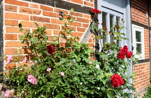 Schnellmark House | Lovingly renovated thatched roof Kate from 1850 near the beach