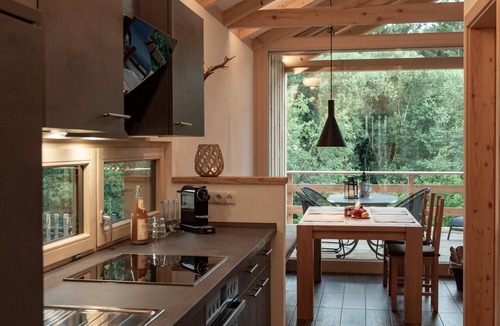 Regen Apartment | Luxury chalet with a sauna, hot tub, and fireplace