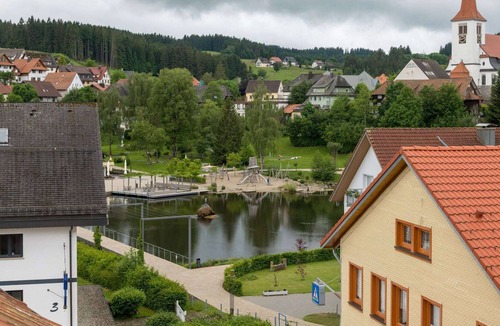 Schonach im Schwarzwald Apartment | Luxury vacation appartment with Wellness- and Fitness Area of 90 m2, large garden, BBQ, pond