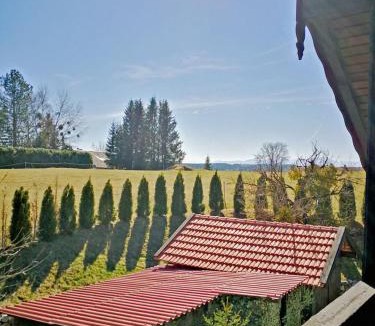 Degerndorf Apartment | Münsing Nähe Starnberger See, schöne Ferienwohnung, Gästewohnung 125qm EG und OG KONTAKTFREI