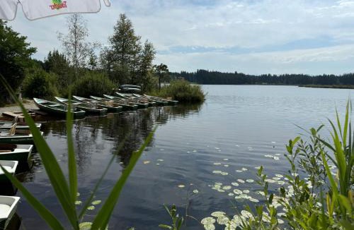 Ruderatshofen Apartment | ma suite - idyllisch & modern apartment 2-4 P