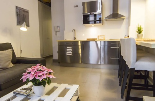 Malaga Historic Centre Apartment | Malaga Picasso D