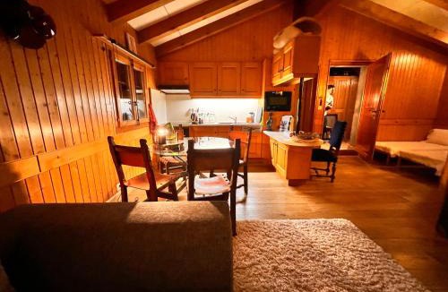 Les Marecottes Apartment | Mazot Agora & Spa Family Trip - Chalet Ouest R+1