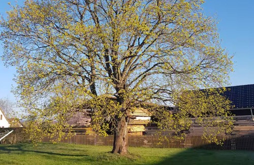 Ostheim Apartment | Modern 2-room attic apartment in the heart of the Rhön