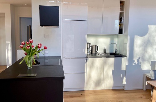 Garmisch-Partenkirchen Apartment | Modern apartment #1 with private sauna and bathtub
