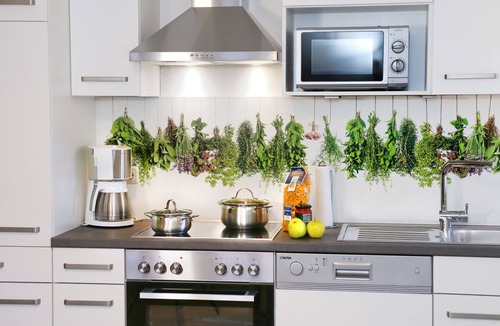 Haundorf Apartment | Modern equipped vacation apartment Kräuterwiese F* (42sqm)