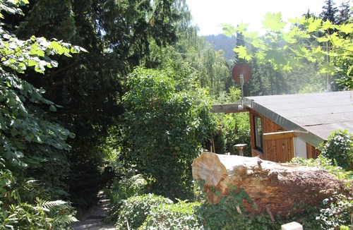 Friedrichroda House | Modernly furnished bungalow with fireplace, surrounded by greenery.