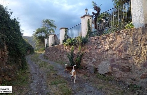 Aranda de Moncayo Cottage | Molino del Batán - Apartamentos turísticos for 4 people