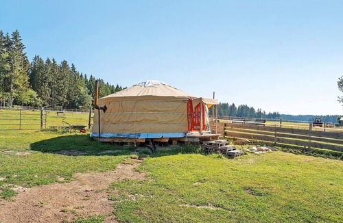Eisenbach RV Rental | Mongolian Yurt at the Falcon’s Nest