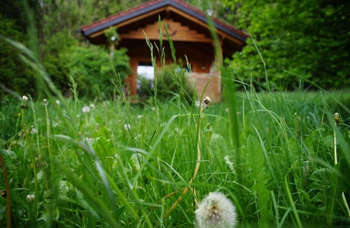 Unterallgau Apartment | Moosmühle Allgäu I Ruhige Lage mit Kamin & Saunahäuschen