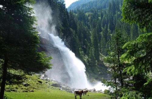 Wald im Pinzgau Ski Chalet | Mountain View Villa in Wald im Pinzgau