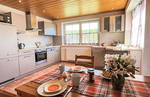 Eisenbach Apartment | Nice apartment for 3 people with WIFI, TV, patio and pets allowed