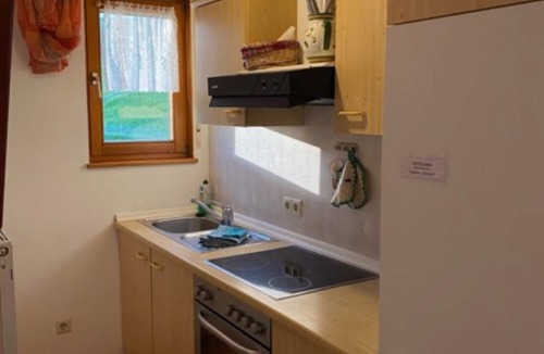 Schollach Apartment | Obertalblick Apartment with Shared Terrace and Garden on a Farm Stay