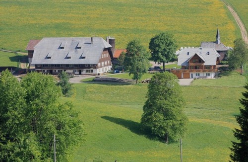 Schollach Apartment | Obertalblick Apartment with Shared Terrace and Garden on a Farm Stay