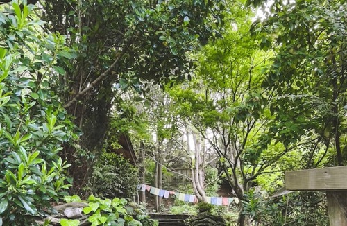 Sunshine Bay House | Ora° Retreat Tui Cabin Cozy Forest Escape