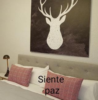 Biescas Apartment | Origen Pelaire Refugio Tena Centro Biescas con encanto UbicacionTop