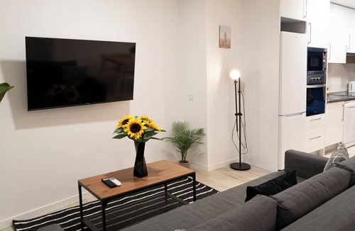 Almenara Apartment | Oshun Plaza Castilla