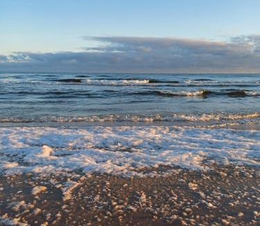 Seebad Bansin Apartment | Ostseeresidenz Gorki- Park - 07 mit Wellness und Schwimmbad