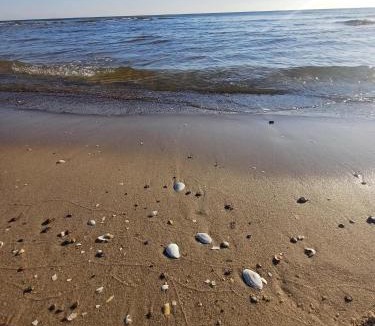 Seebad Bansin Apartment | Ostseeresidenz Gorki- Park - 08 mit Wellness und Schwimmbad