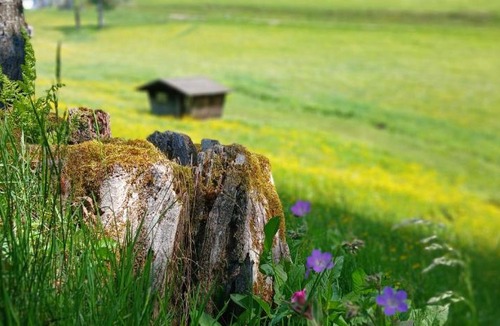 Furtwangen Apartment | Outdoor & Relax Blackforest