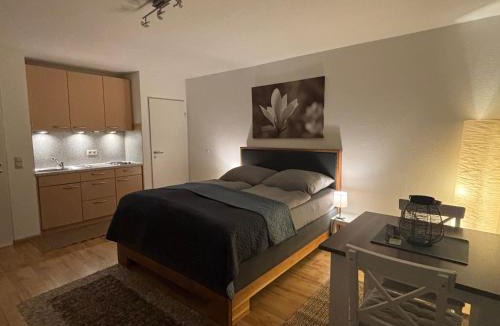 Neuravensburg Apartment | Panorama-Haus Appartment PFÄNDER - Bergblick, Badezimmer, Kitchenette, eigene Sonnenterrasse