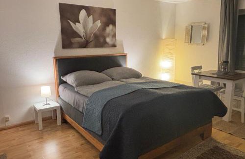 Neuravensburg Apartment | Panorama-Haus Appartment PFÄNDER - Bergblick, Badezimmer, Kitchenette, eigene Sonnenterrasse