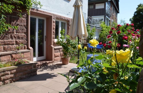 Miltenberg Apartment | Panorama view Miltenberg, 3 pers., central, on the Main, terrace, boat rental, P