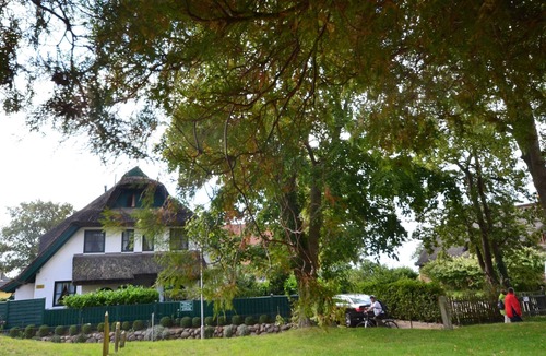 Gross Zicker House | Peaceful cottage on the Baltic Sea for 8 people and baby